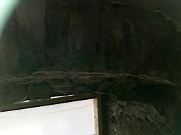 acastle 166210.jpg
